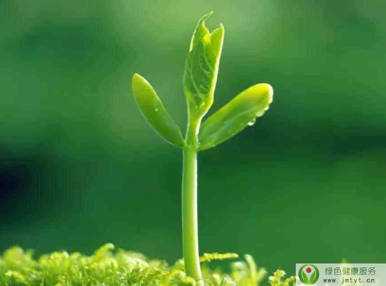 �����B��֮����Ԕ�ⴺ������B��