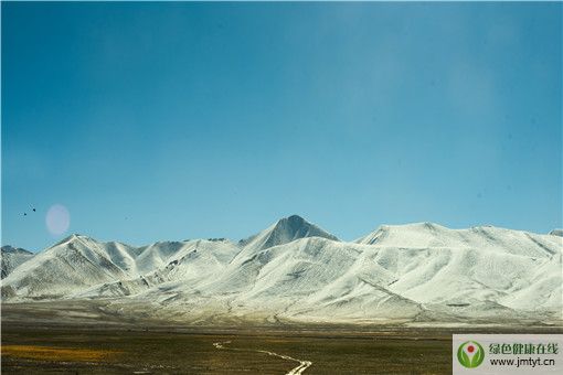 δ���䰸��ֹǰ���ɿ���������-�z�D�W